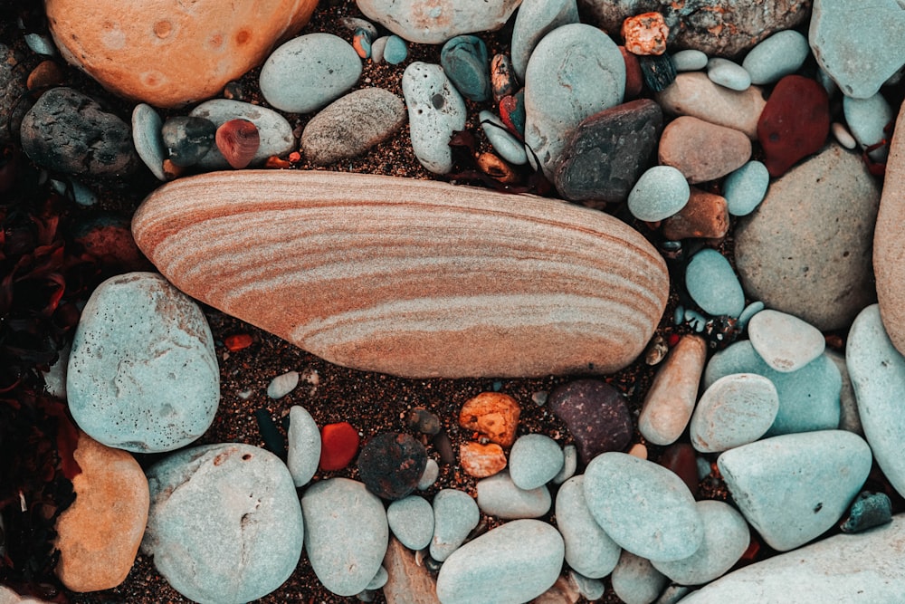 땅 위의 여러 가지 색깔의 바위