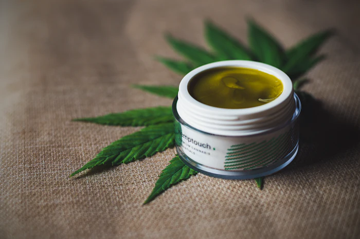 An open tin of cannabis balm on a leaf