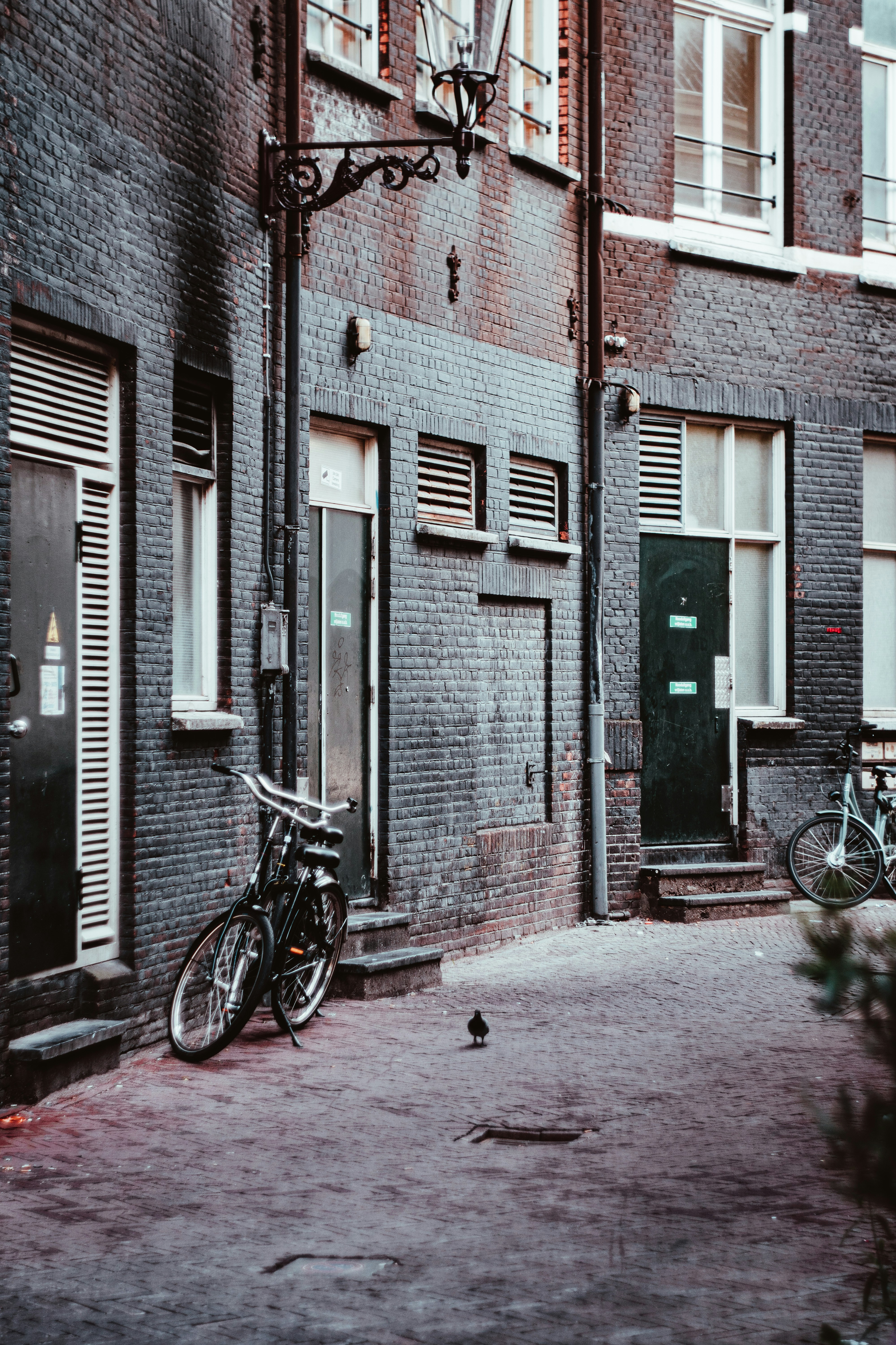 Photo by jeancarloemer