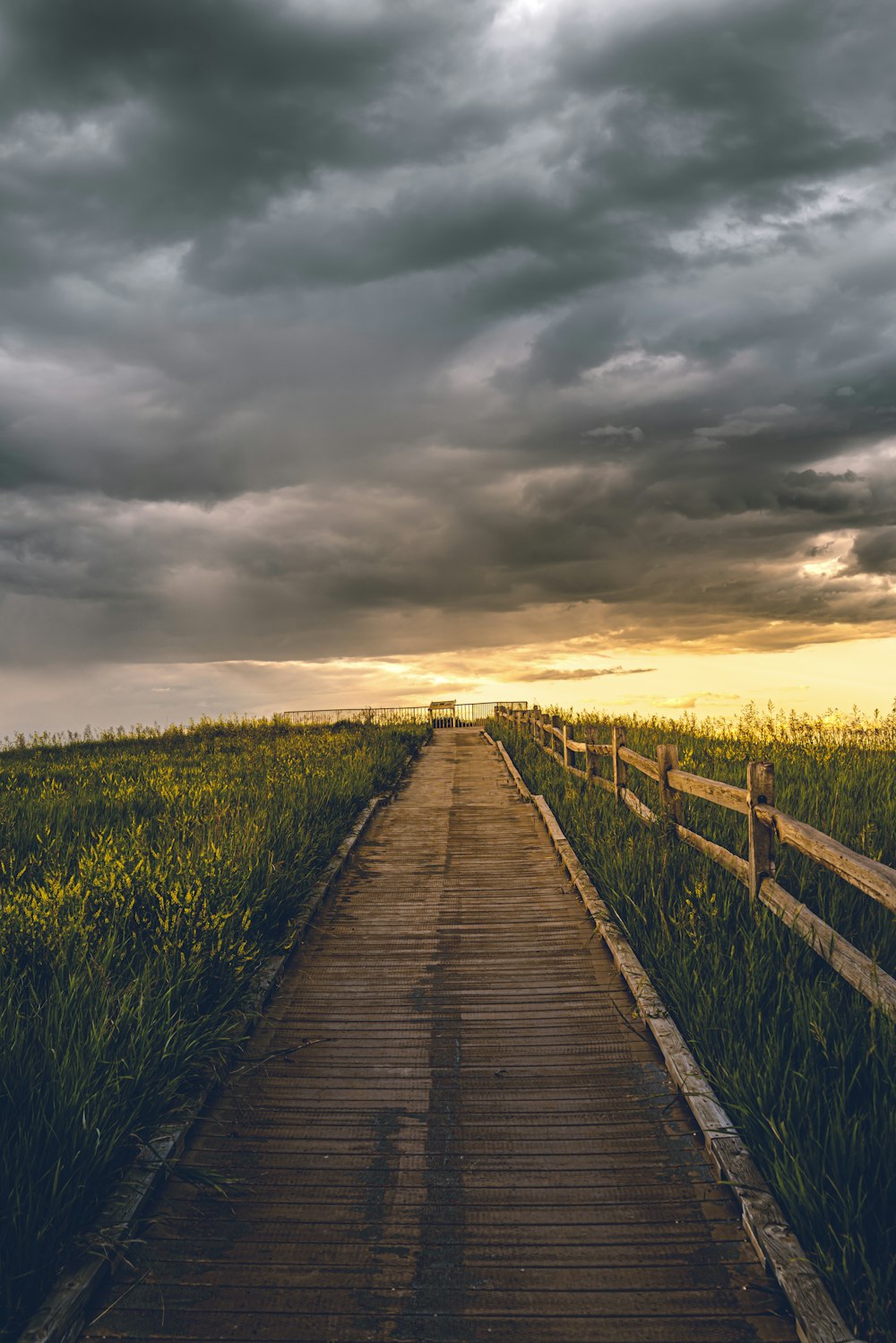 brown wooden pathway