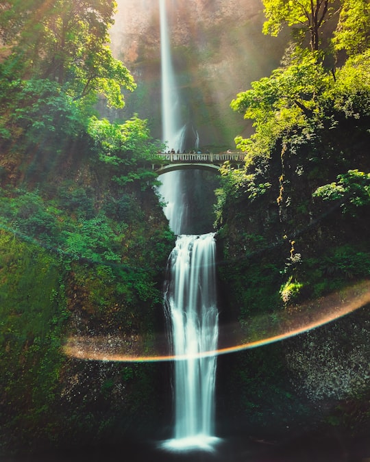 waterfalls photo in Multnomah Falls United States