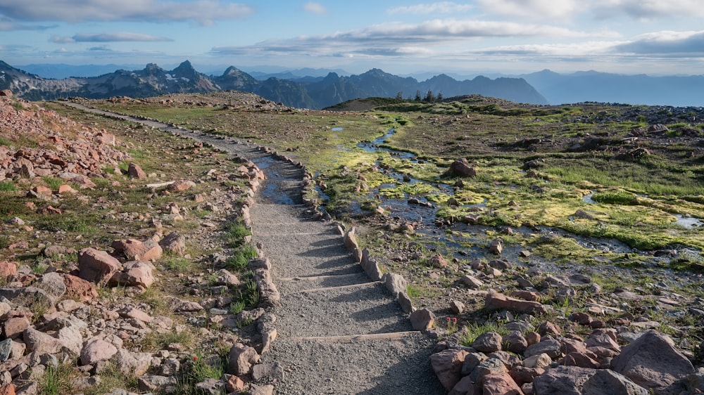 gray concrete pathway near green field under blue and white skies