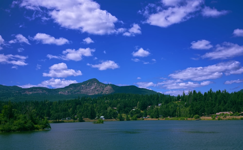 lago rodeado de árboles altos y verdes bajo cielos azules y blancos