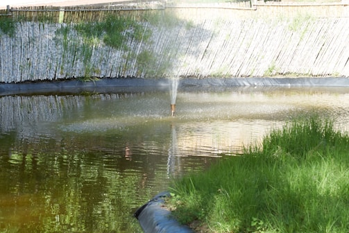 A pond with a fountain in the center disperses water, creating ripples on the surface. The pond is bordered by lush green grass along the right edge and a rustic wooden fence in the background, partially covered with greenery.