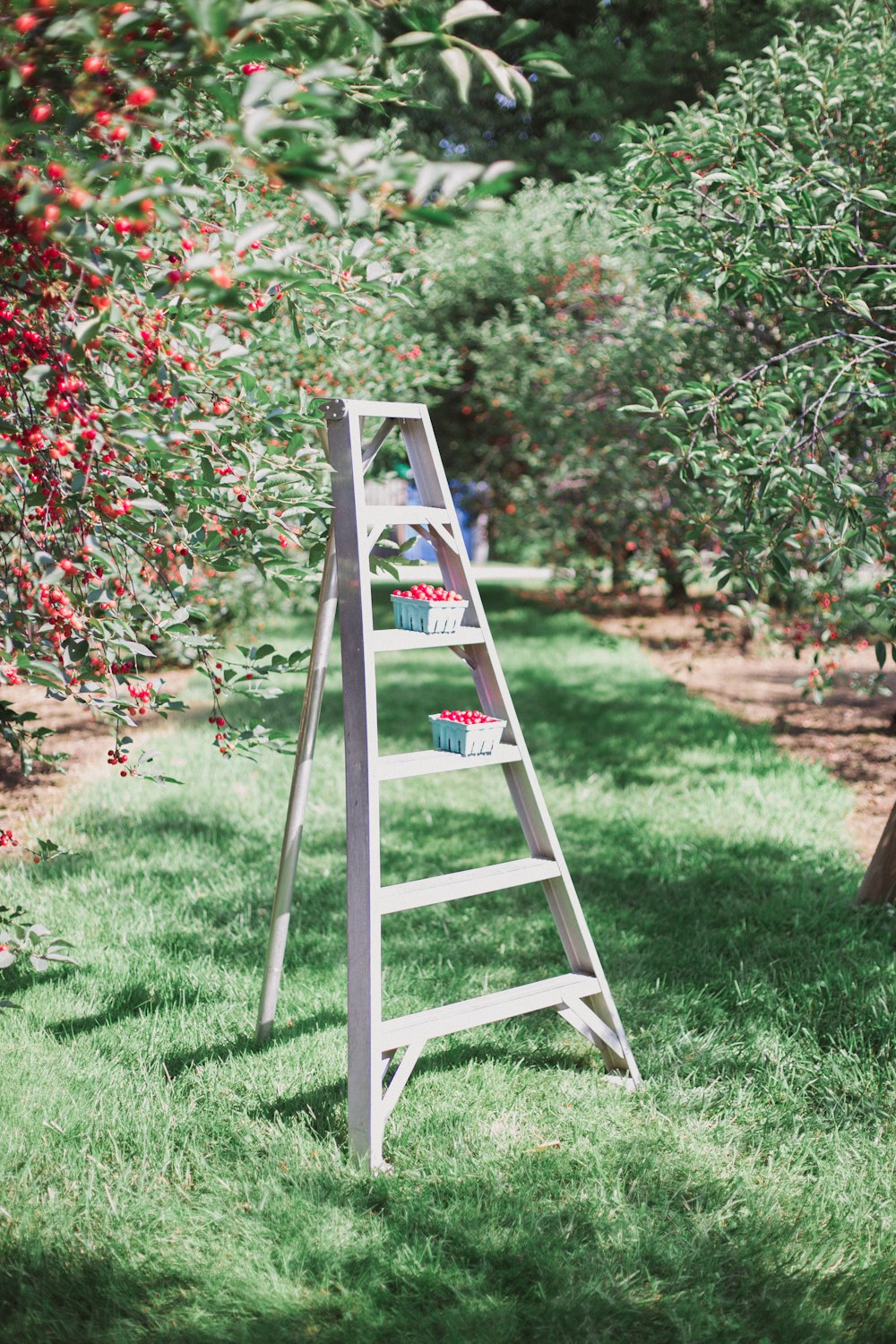 gray metal step ladder