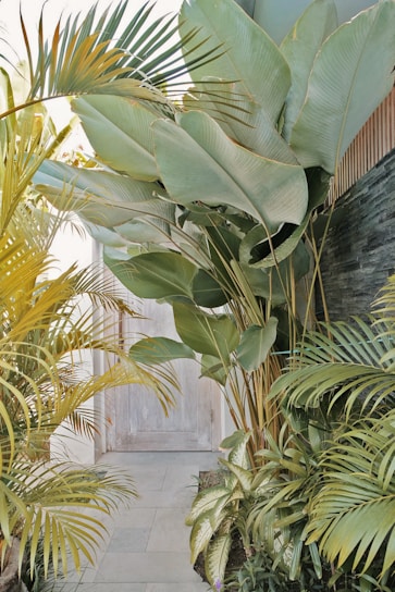 Garden room entrance surrounded by tropical plants and flowers.