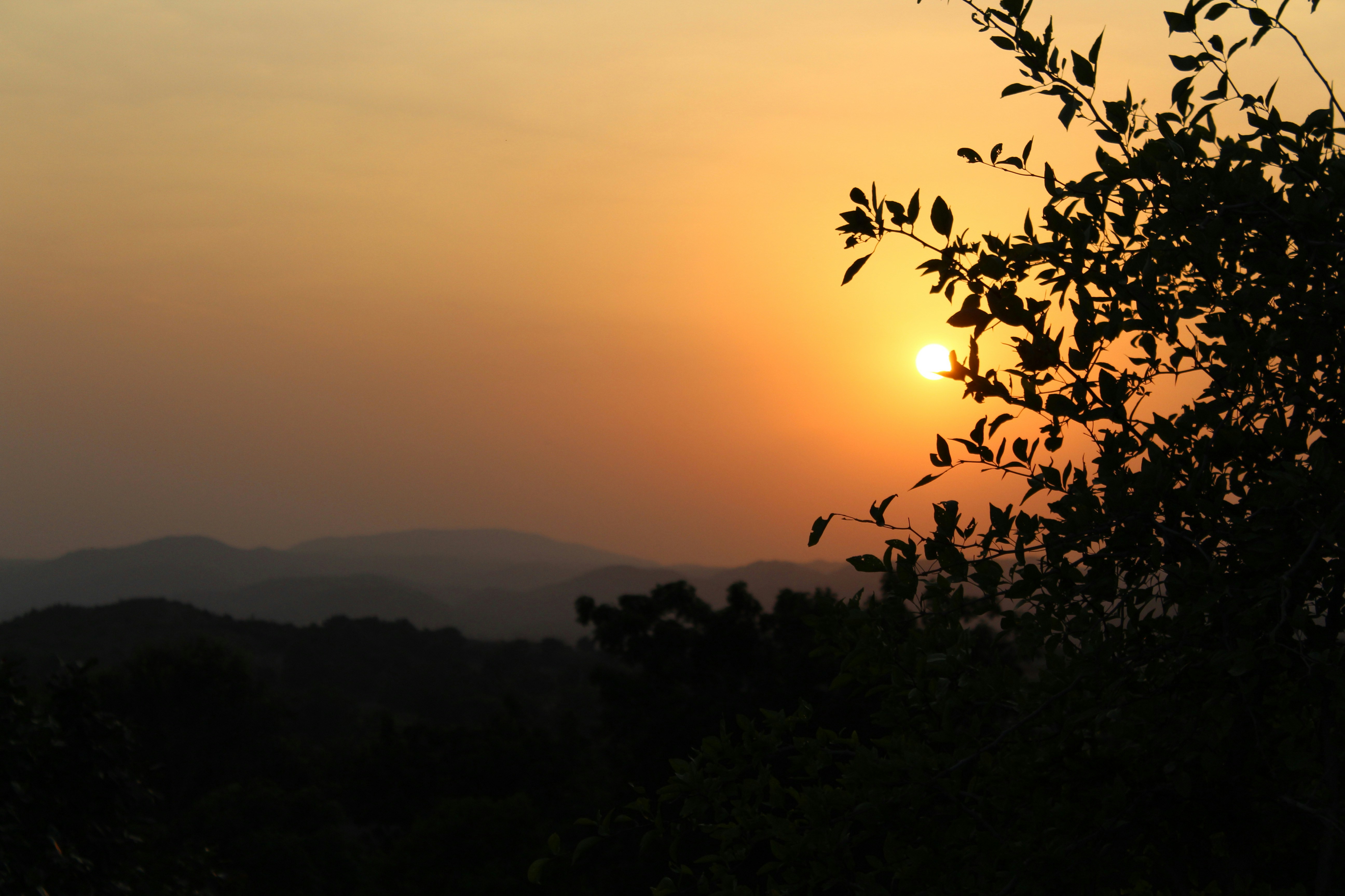 Photo by beyond_thehorizons