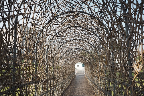 An intricate tunnel constructed from interwoven branches provides a canopy over a pathway. Daylight filters through the gaps, casting complex shadows on the ground. At the end of the tunnel, a small building is visible.