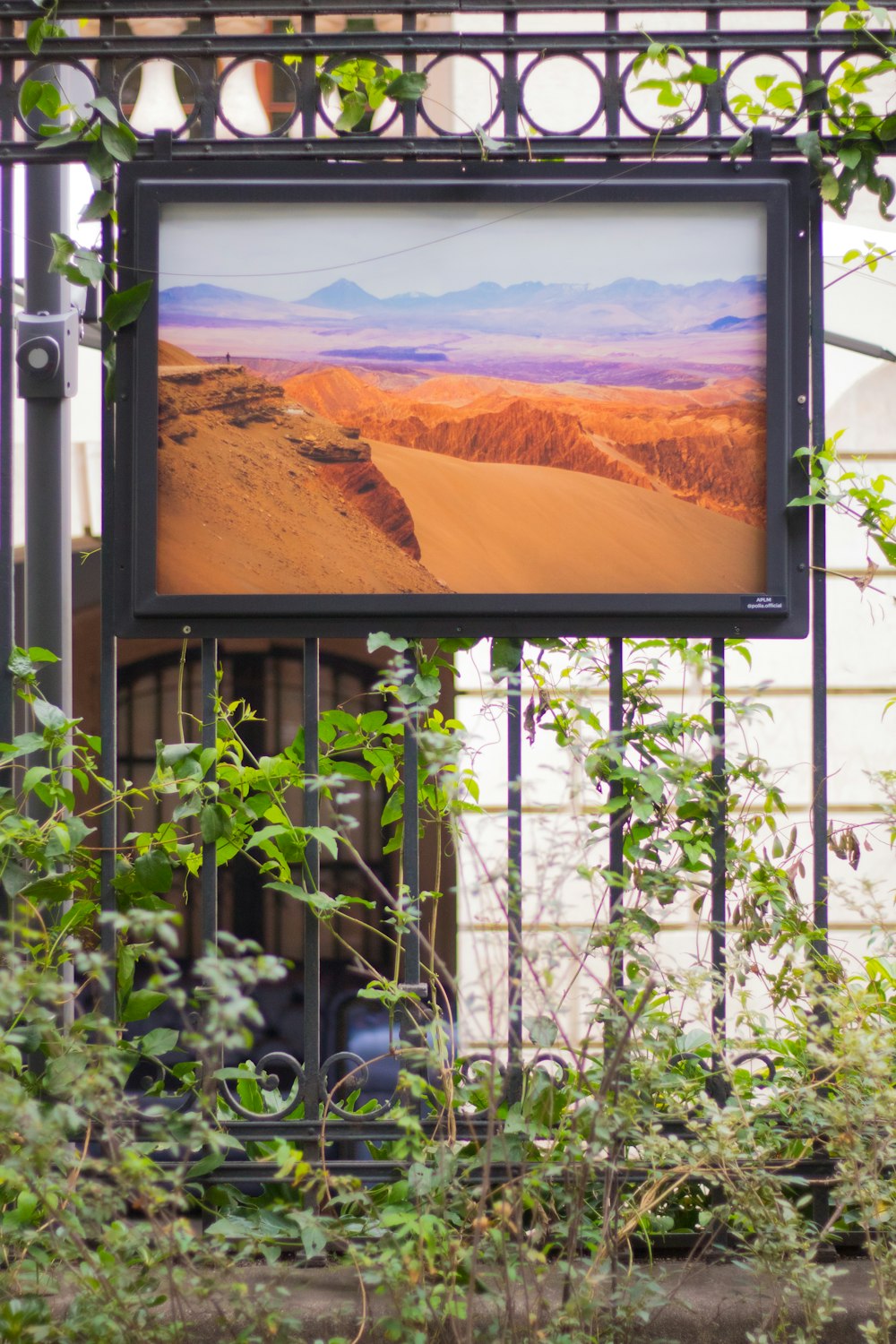 photo of sand dune