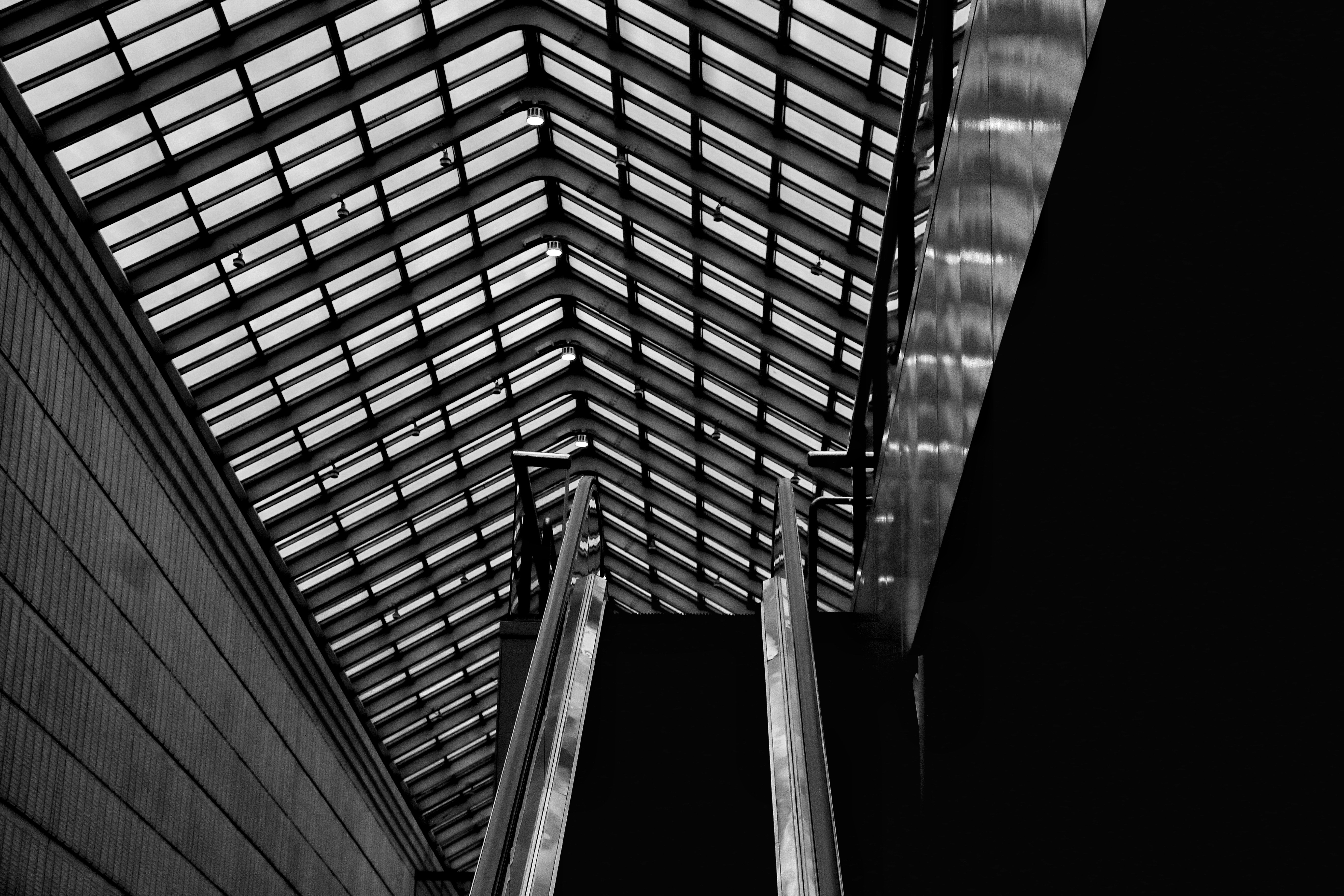 Photo by xeno_pluxus