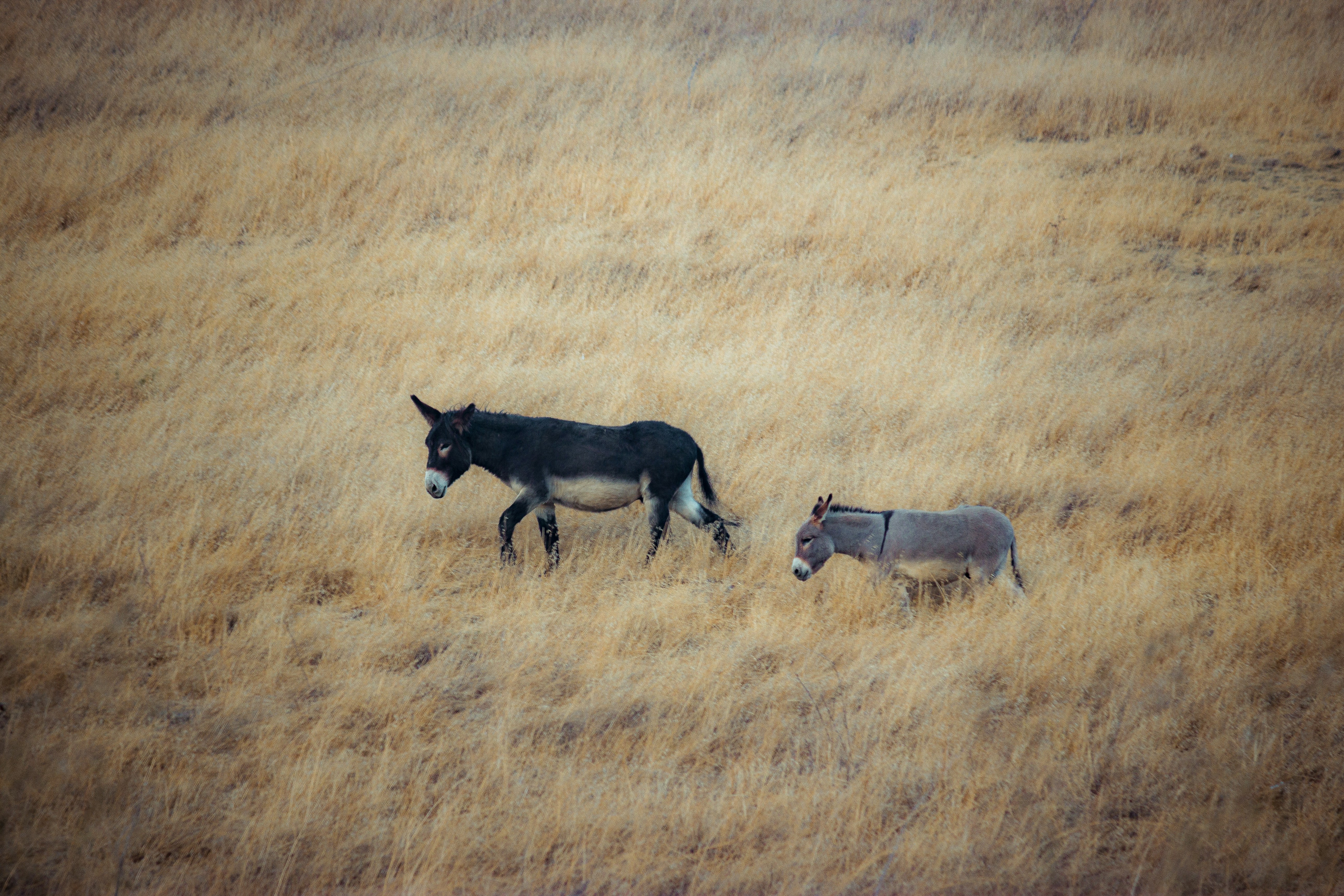 Photo by dzngriffin