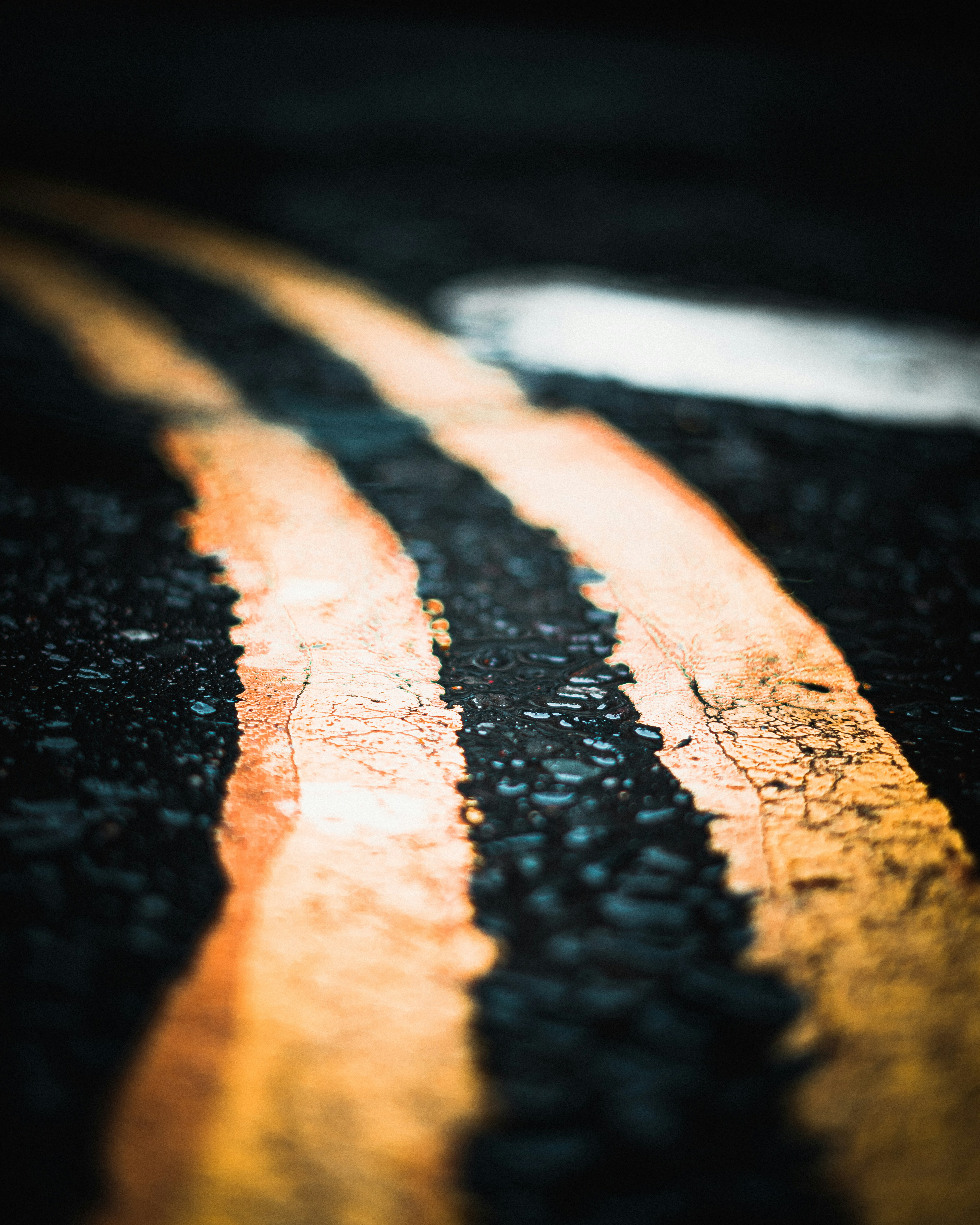 Vrai Definition De Vrai Vraie La Langue Francaise