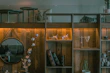 Cozy living room scene featuring a recommended home decor item on a shelf