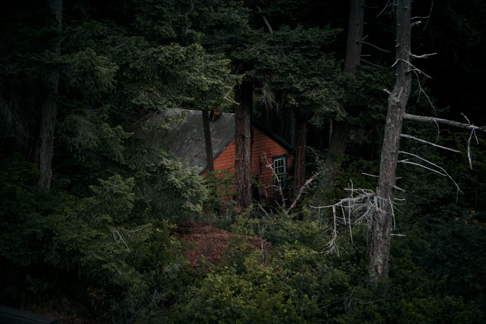 brown wooden house surrounded with trees