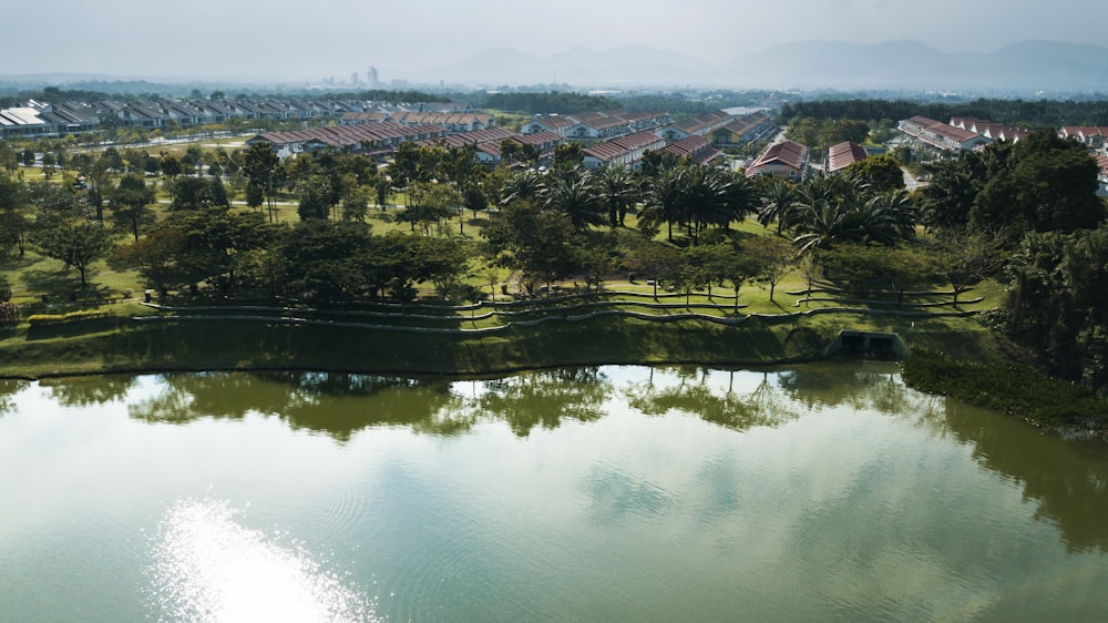 high angle photo of green trees and body of water