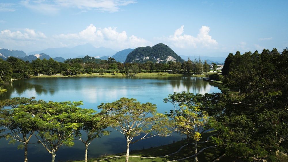 緑の木々と湖の風景