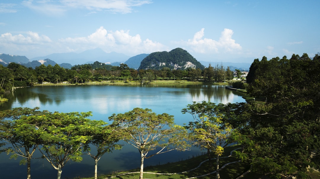 green trees and lake scenry,