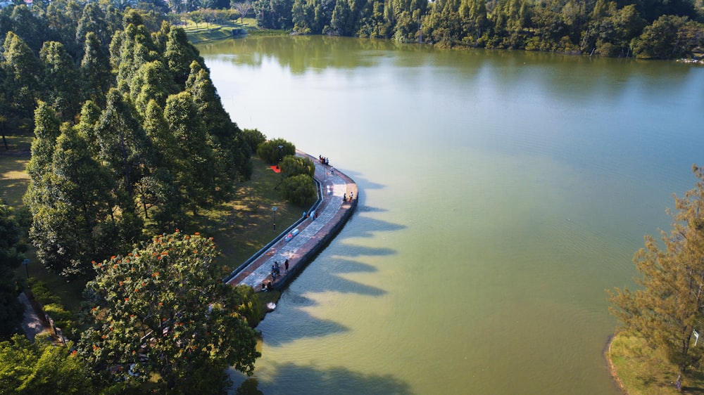 body of water beside green trees at daytime