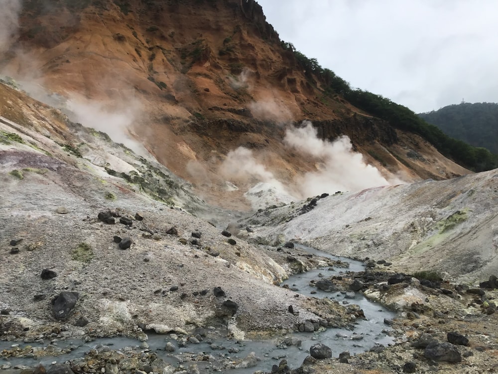 茶色の山の風景