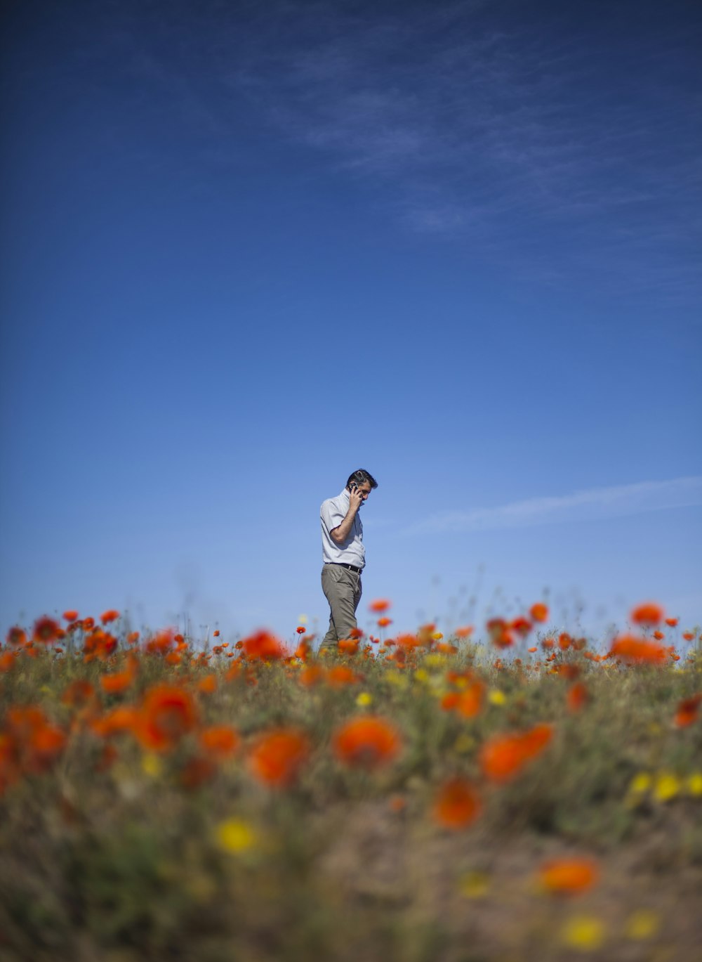 man holding phone walking on flower field