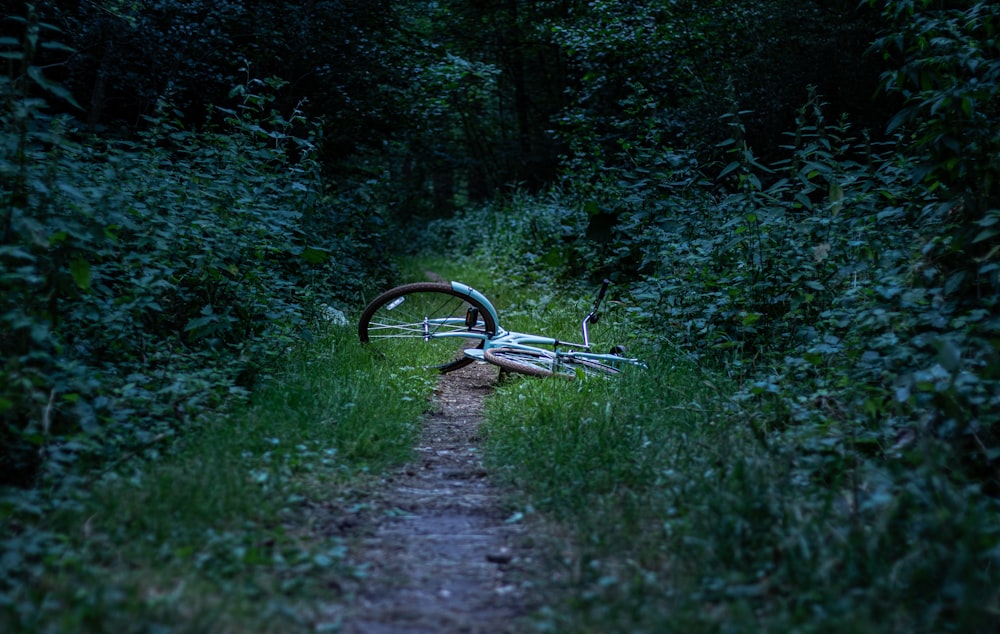 white bicycle on grass field