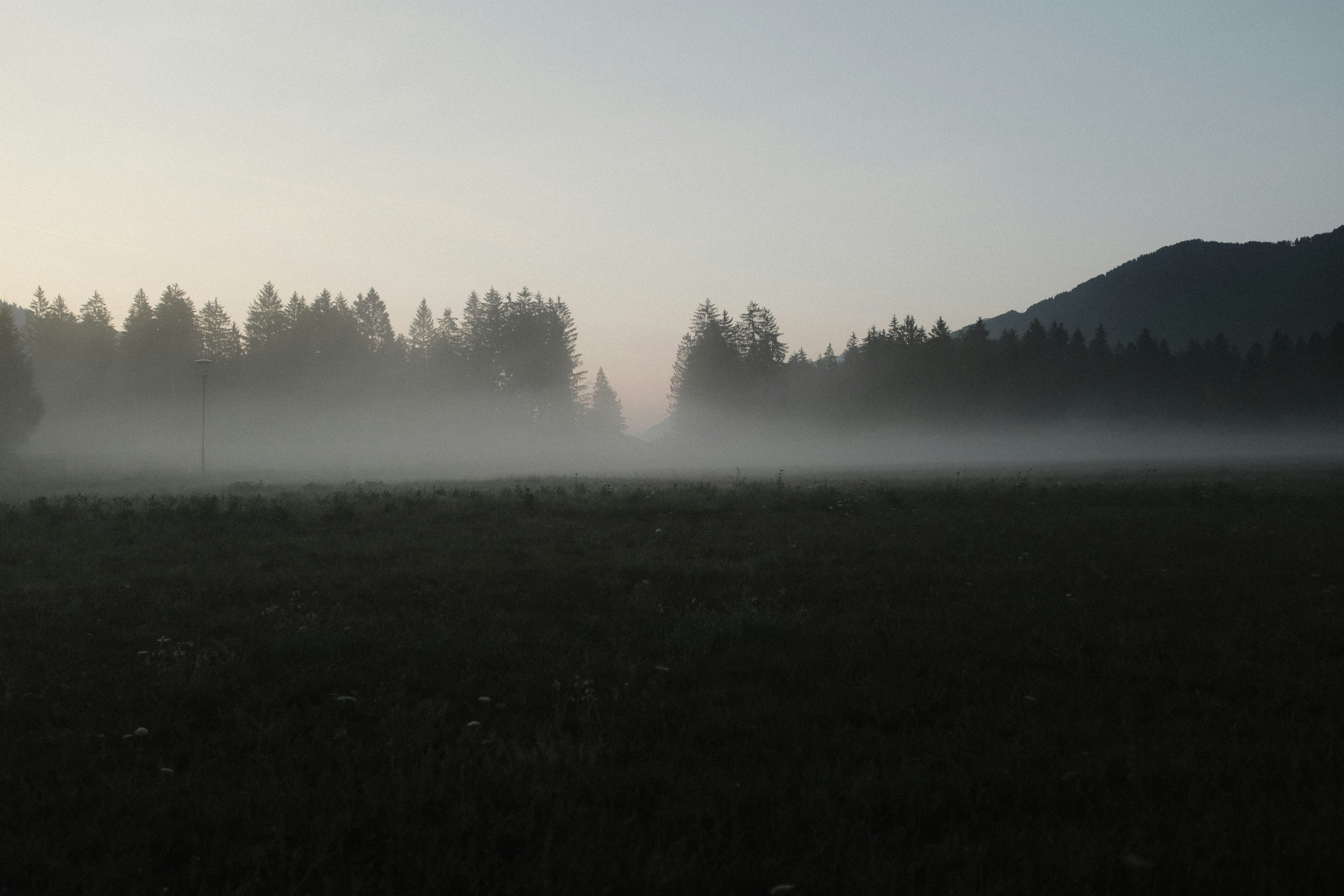 Photo by studiopizza