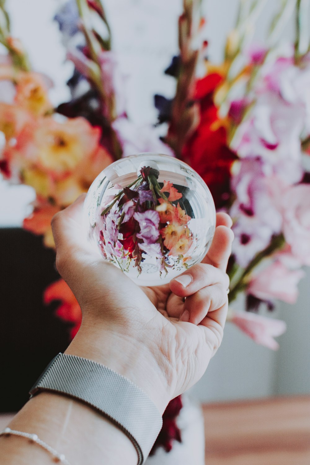 person holding flower