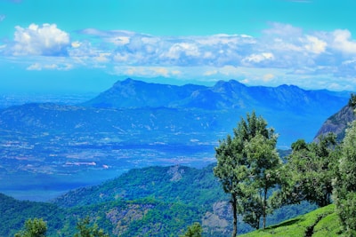 A scenic view of Tasmania's landscape, showcasing the natural beauty and potential of the region.