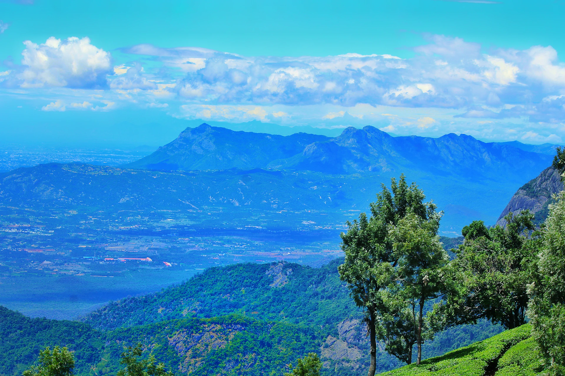 woman wearing yellow long-sleeved dress under white clouds and blue sky during daytime