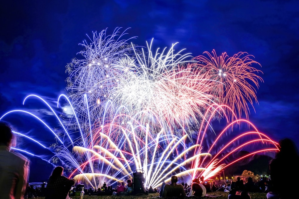 photography of fireworks during nighttime