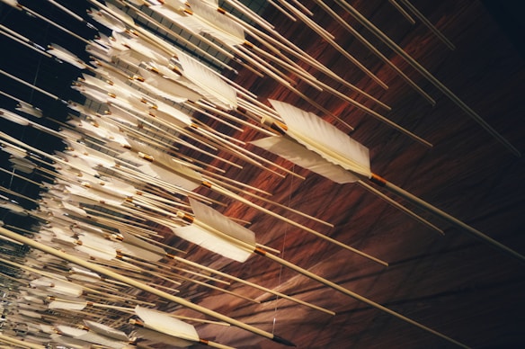 Numerous arrows are suspended in the air, pointing in various directions, creating a dynamic and visually striking pattern. The background appears to be wooden panels that contrast with the light-colored arrows.