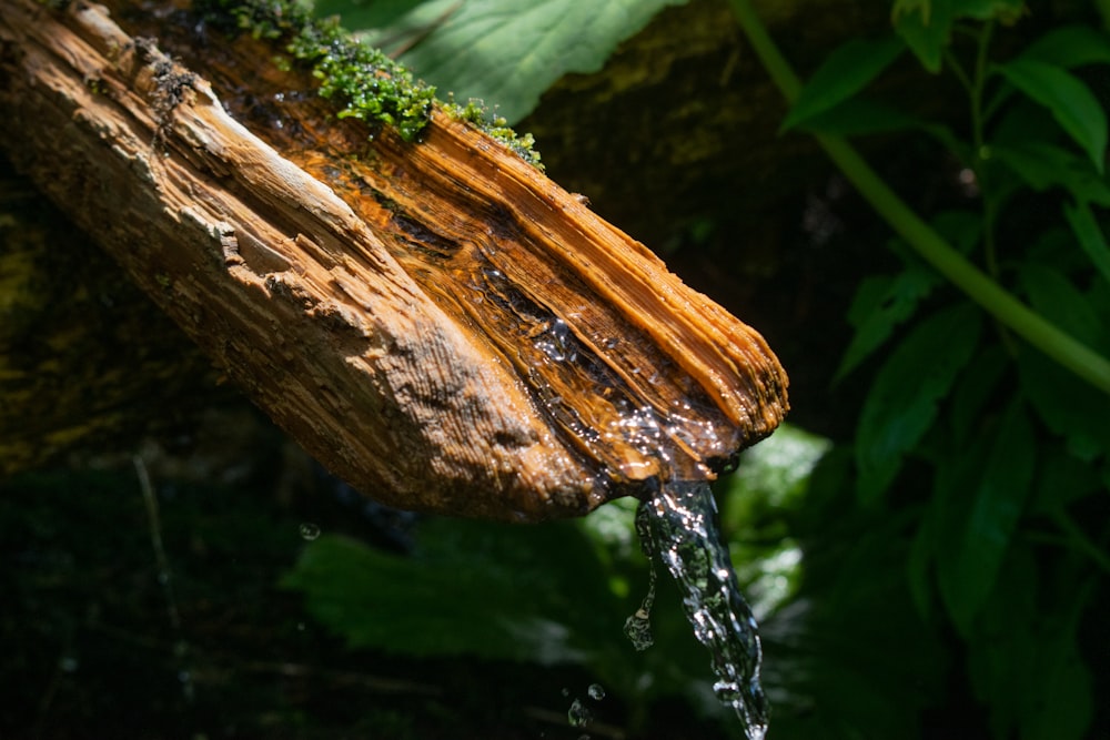 water flowing from brace