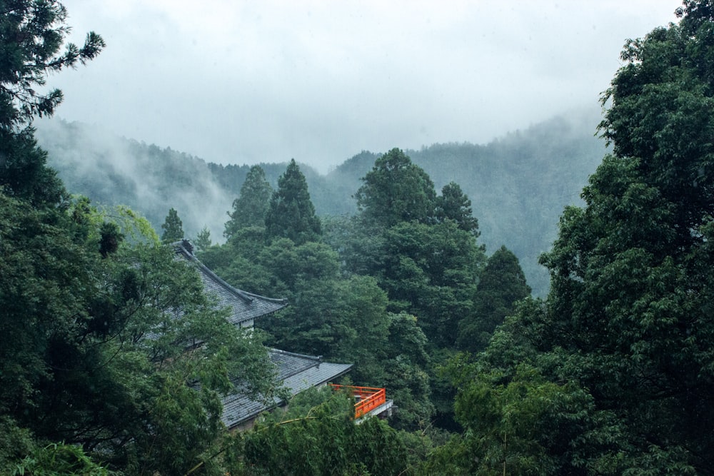Tempel mit grauem Dach, umgeben von Bäumen