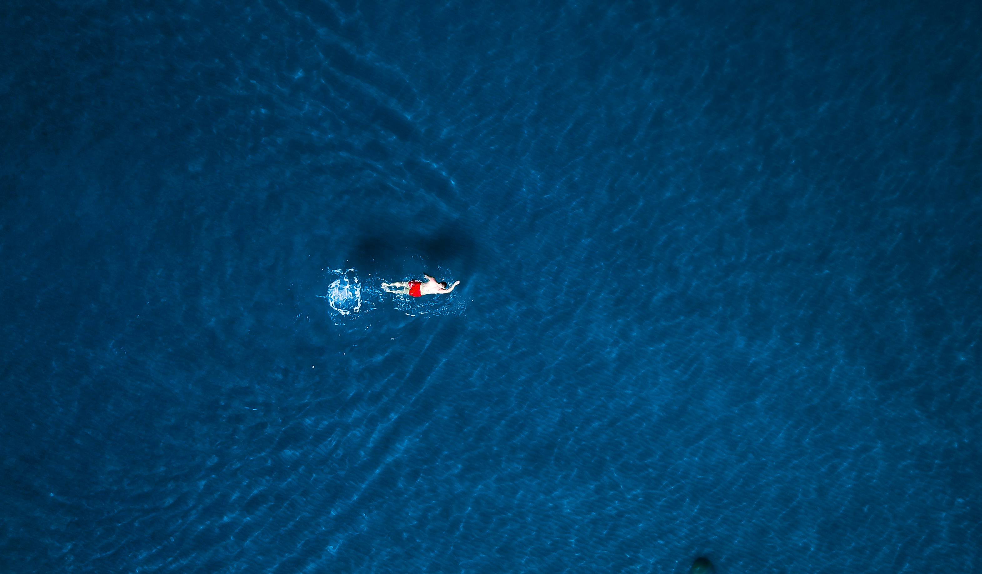 Photo by anikolleshi