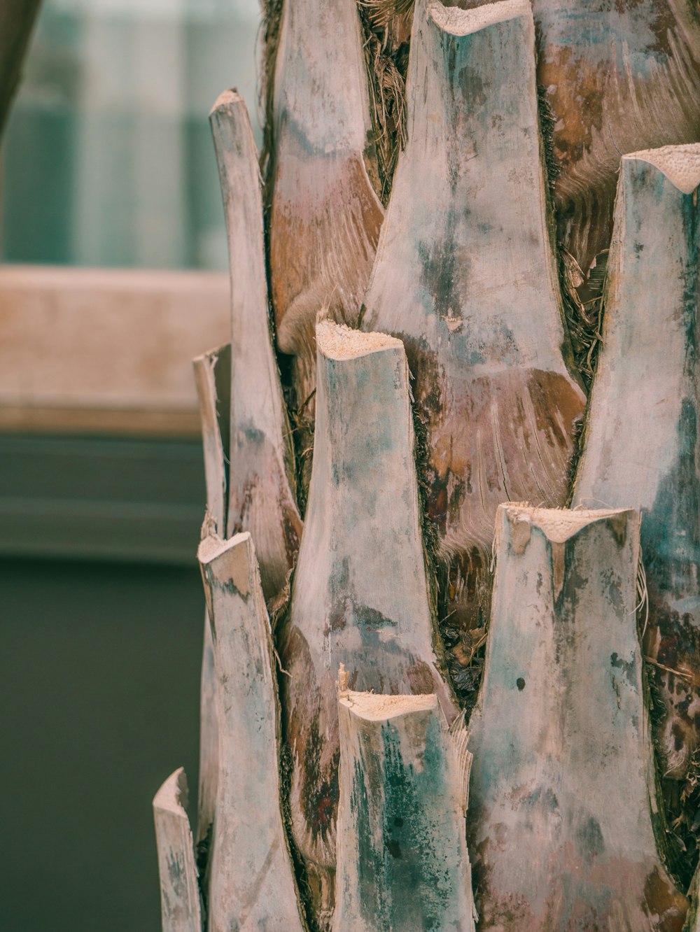 brown tree trunk