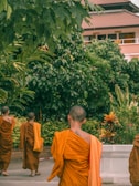 A group of monks dressed in orange robes walks through a lush, green garden setting. The background features a building with a brown tiled roof and leafy plants and trees surrounding the area.