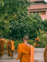 A group of monks dressed in orange robes walks through a lush, green garden setting. The background features a building with a brown tiled roof and leafy plants and trees surrounding the area.