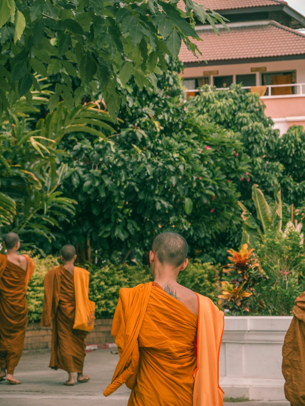 monks walking near trees