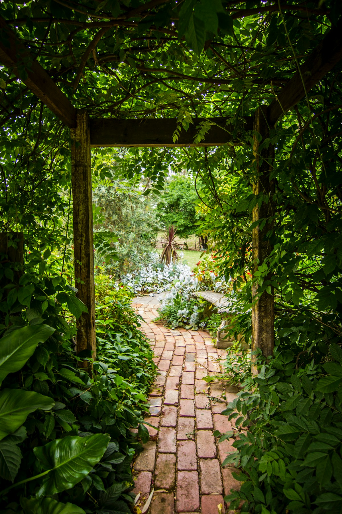 Gardening image background image