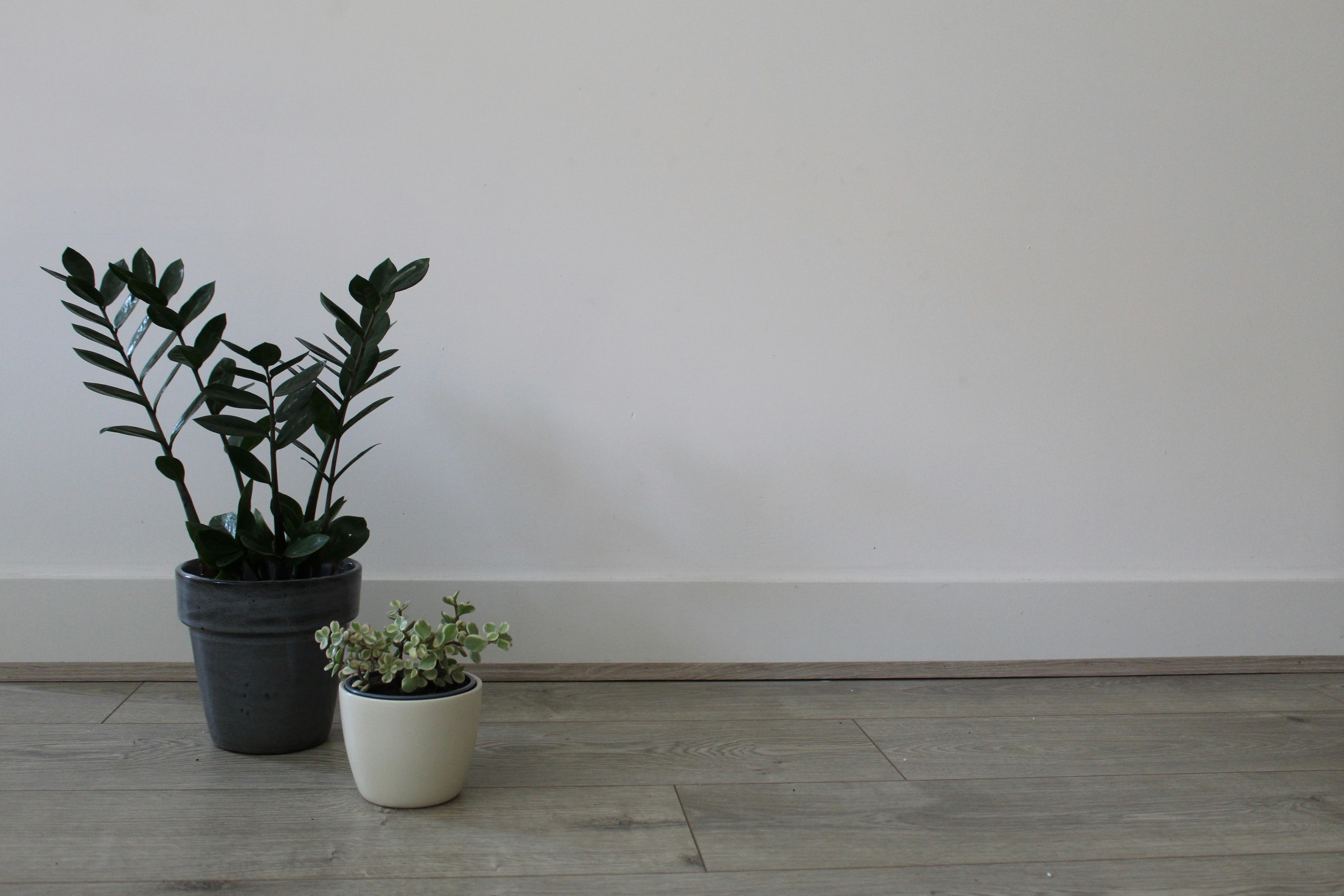 minimalist wallpaper vlog, wallpaper, Sejarah Vlog: Dari Diary Harian ke Fenomena Global 4