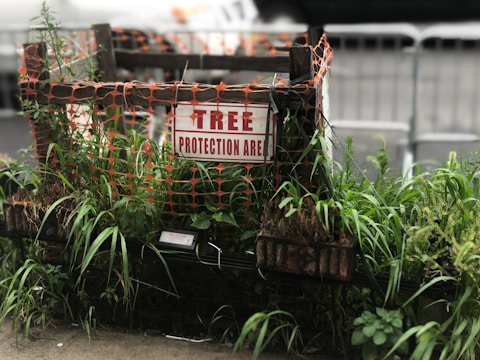 A wooden structure supports an orange mesh around a small garden area, filled with various green plants. A sign reading 'Tree Protection Area' is prominently displayed. In the background, metal barriers and blurred vehicles can be seen.