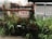 A wooden structure supports an orange mesh around a small garden area, filled with various green plants. A sign reading 'Tree Protection Area' is prominently displayed. In the background, metal barriers and blurred vehicles can be seen.