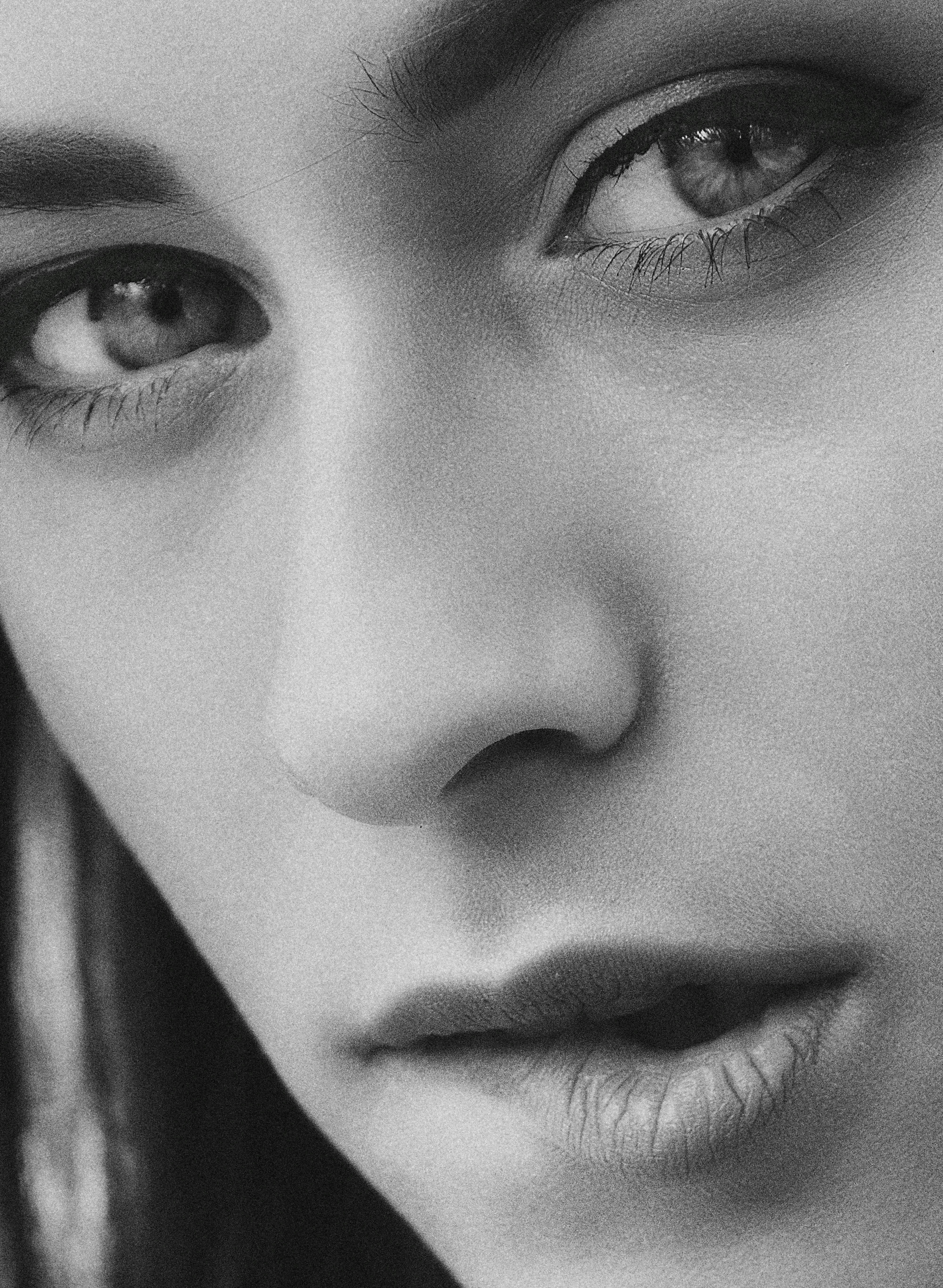 The Rise and Fall of Scientific Fields