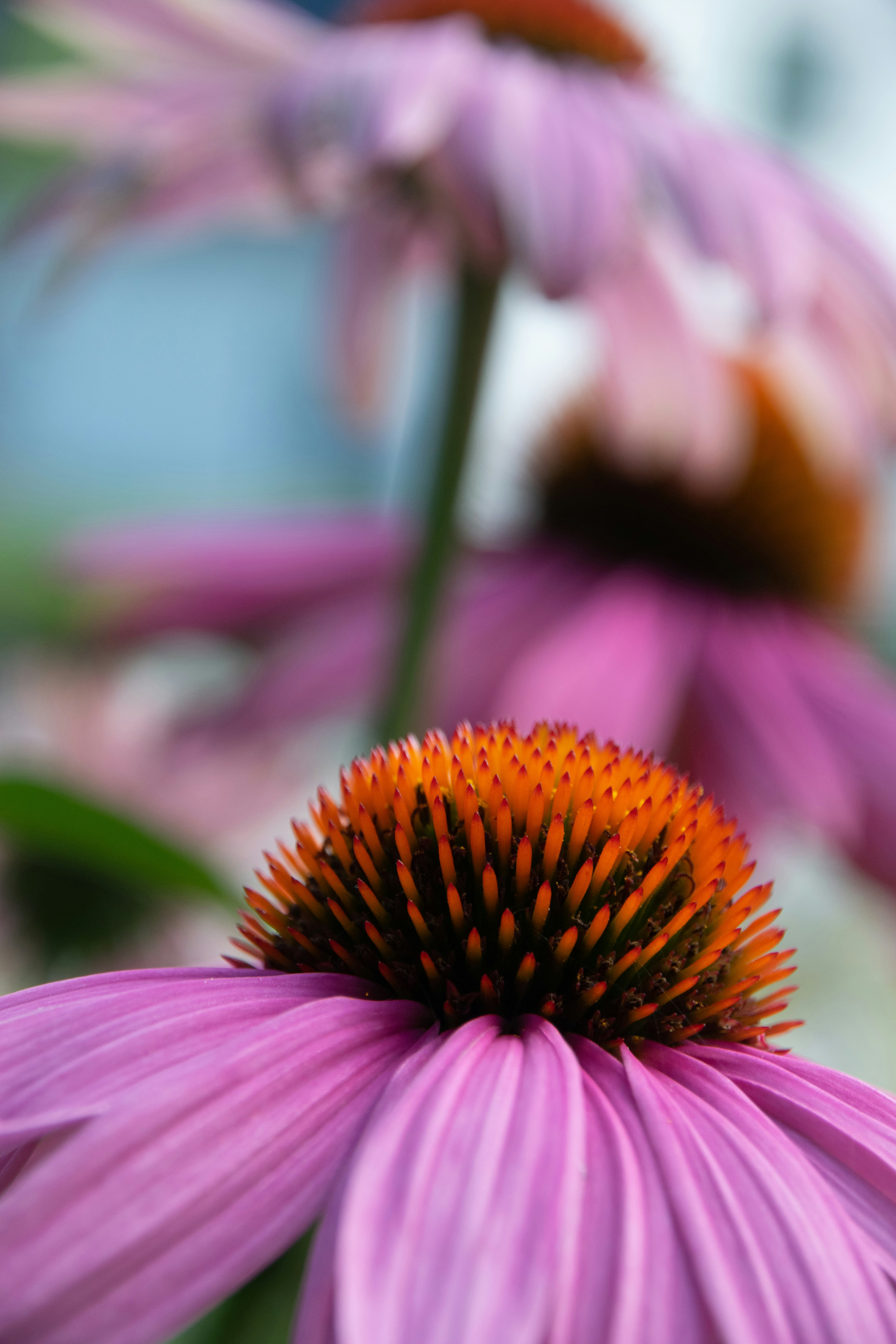 Photo by rutgervandeelen