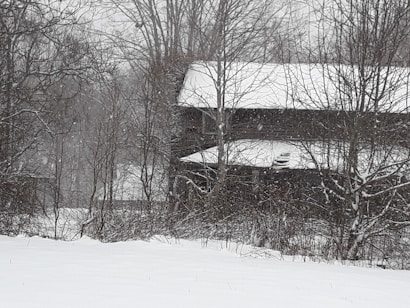 A wintery scene featuring a snow-covered landscape with a rustic building partially obscured by leafless trees. Flaky snow is gently falling, adding a serene and quiet atmosphere to the environment.