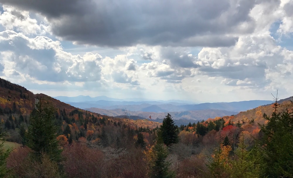 pine trees and mountains under white clouds