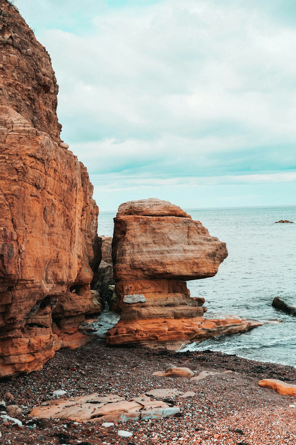 brown wooden rock besides body of water