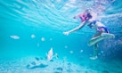woman underwater