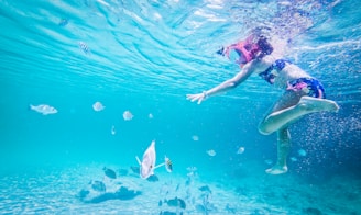 A person is snorkeling underwater surrounded by various species of fish in clear turquoise water. The person is wearing a snorkel and a colorful swimsuit, reaching out towards the fish.