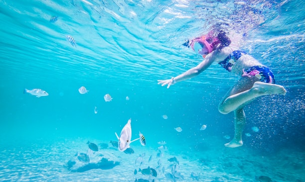 A person is snorkeling underwater surrounded by various species of fish in clear turquoise water. The person is wearing a snorkel and a colorful swimsuit, reaching out towards the fish.